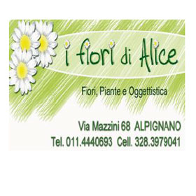 I fiori di Alice - piante e oggettistica